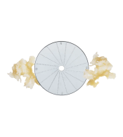 Robot Coupe Diskas daržovių pjaustyklei - krienų pastos 1 mm 28055W | E-gastro
