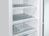 COOL HEAD Šaldiklis su švieslente TNG390C, stiklinės durys, 300 l. TNG 390C | E-gastro