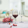 FINE DINE Šampano taurės Favourite Optical, 170 ml, 6 vnt 7361/1P170 | E-gastro