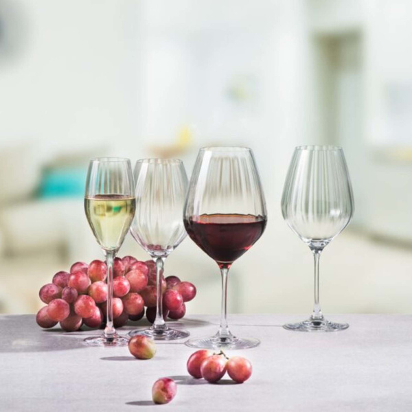 FINE DINE Šampano taurės Favourite Optical, 170 ml, 6 vnt 7361/1P170 | E-gastro