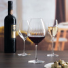 FINE DINE Šampano taurės Favourite Optical, 170 ml, 6 vnt 7361/1P170 | E-gastro