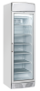 COOL HEAD Šaldiklis su švieslente TNG390C, stiklinės durys, 300 l. TNG 390C | E-gastro