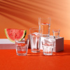 FINE DINE Stiklinės Amsterdam, 45 ml, 12 vnt LH-AST204KL | E-gastro