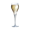 FINE DINE Šampano taurės Brio, 160 ml, 6 vnt J1478 | E-gastro