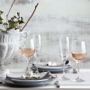 FINE DINE Vyno taurės Aspen, 245 ml, 6 vnt LH-ASP524KF | E-gastro