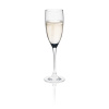FINE DINE Šampano taurės Ratio, 150 ml, 6 vnt 63390700 | E-gastro