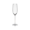 FINE DINE Šampano taurės Edition, 150 ml, 6 vnt 60500700 | E-gastro