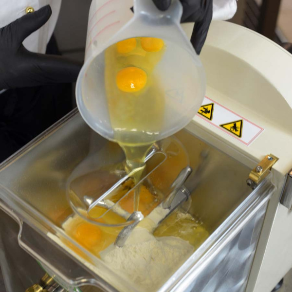 FAMA Makaronų gaminimo aparatas Mini FMPM102 | E-gastro