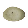 FINE DINE Lėkštė Olive, žalia, 350x210 mm, 6 vnt. 778036 | E-gastro
