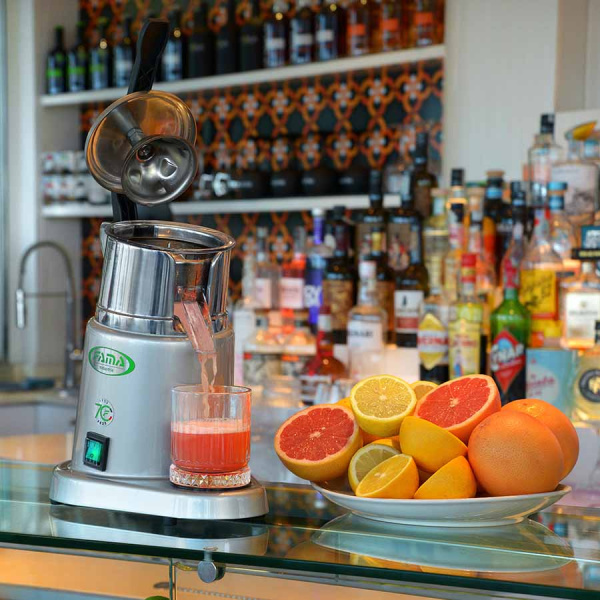 FAMA MSP 2 sulčiaspaudė (nerūdijančio plieno) MSP2 | E-gastro
