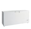 TEFCOLD Ledų šaldiklis su dangčiu FR605 SL 16179 | E-gastro