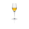 FINE DINE Taurės Ratio, 95 ml, 6 vnt 63390500 | E-gastro